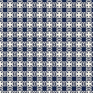 Country Rodeo Fabric by Michael Miller, Hokey Pokey Navy Blue Plaid, Western Fabric