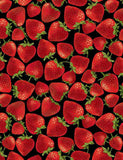Tossed Strawberries Fabric by Timeless Treasures, Strawberries on Black Cotton