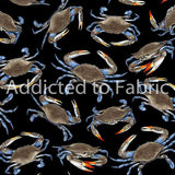18" x 21" Seaside Getaway, Blue Crabs Fabric by Timeless Treasures, Beach, Ocean, Seafood