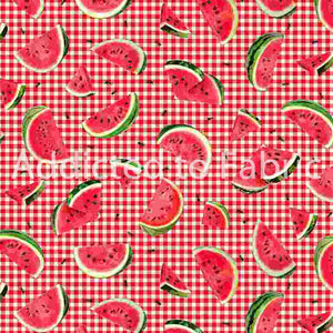 14" x 44" One in a Melon Watermelon Fabric, Timeless Treasures, Ants, Gingham