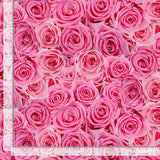 Bellerose Fabric by Timeless Treasures, Packed Roses, Fuchsia