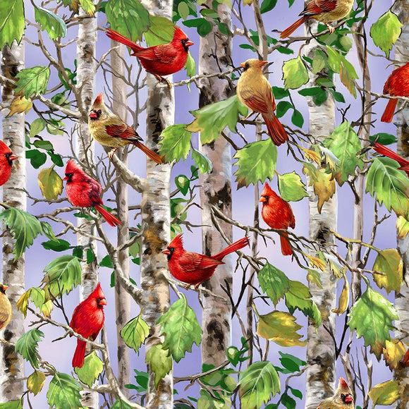 Cardinal on Birch Tree Fabric by Timeless Treasures, Spring Song Collection Dona Gelsinger