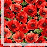 Poppy Passion Large Poppy Floral on Black Fabric by Timeless Treasures, Red Flowers