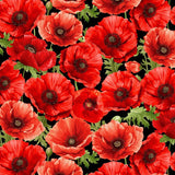 Poppy Passion Large Poppy Floral on Black Fabric by Timeless Treasures, Red Flowers