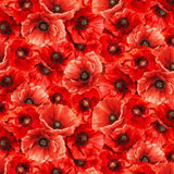 Poppy Passion Packed Poppies Fabric by Timeless Treasures, Red Flowers, Quilting Fabric
