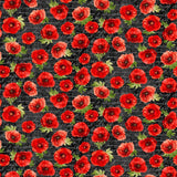 Poppy Passion Poppies on Script Fabric by Timeless Treasures, Red Flowers on Black