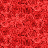 Rendezvous Packed Roses Fabric by Timeless Treasures, Red Roses