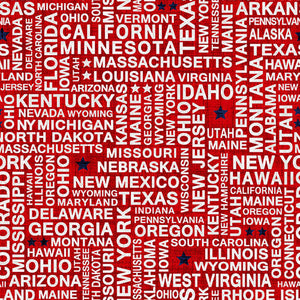 18" x 22" (Fat) United State Names, USA Red Fabric by Studio E, USA Words
