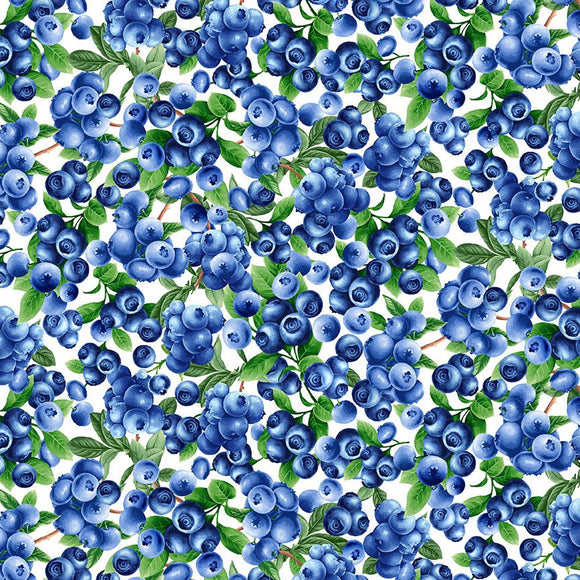 Blueberry Delight Fabric by Timeless Treasures, Blueberries Bush White