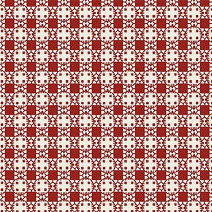 Country Rodeo Fabric by Michael Miller, Hokey Pokey Red Plaid, Western Fabric