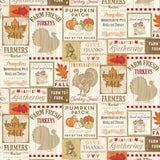 9" x 44" Natural Thanksgiving Fabric by Timeless Treasures, Fall Autumn Pumpkin