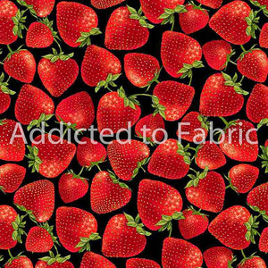 Tossed Strawberries Fabric by Timeless Treasures, Strawberries on Black Cotton