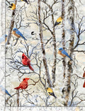 Winter Birds Fabric by Timeless Treasures, Bird Fabric