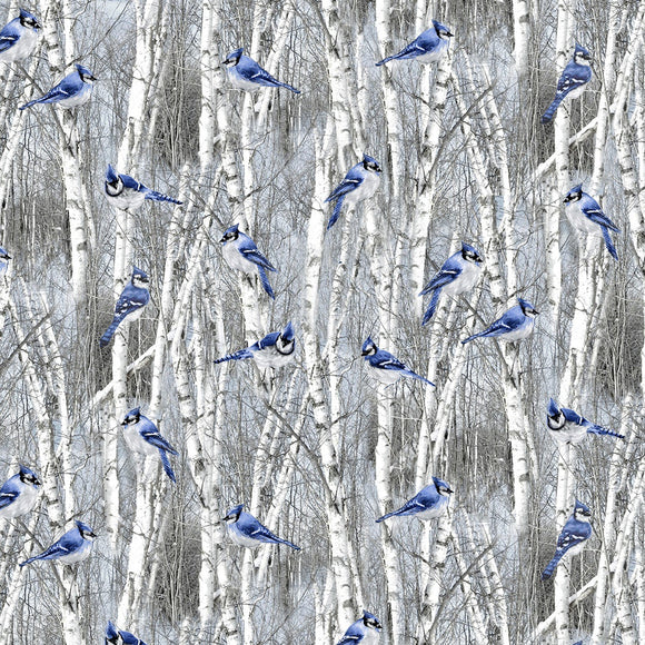 Winter Blue Jays Fabric by Timeless Treasures, Winter Hike